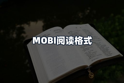 MOBI阅读格式